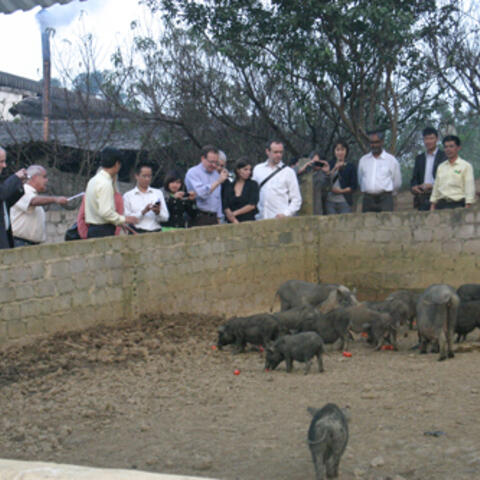Cung ứng cây, con giống